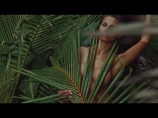 daria shu (sexy clip 41)